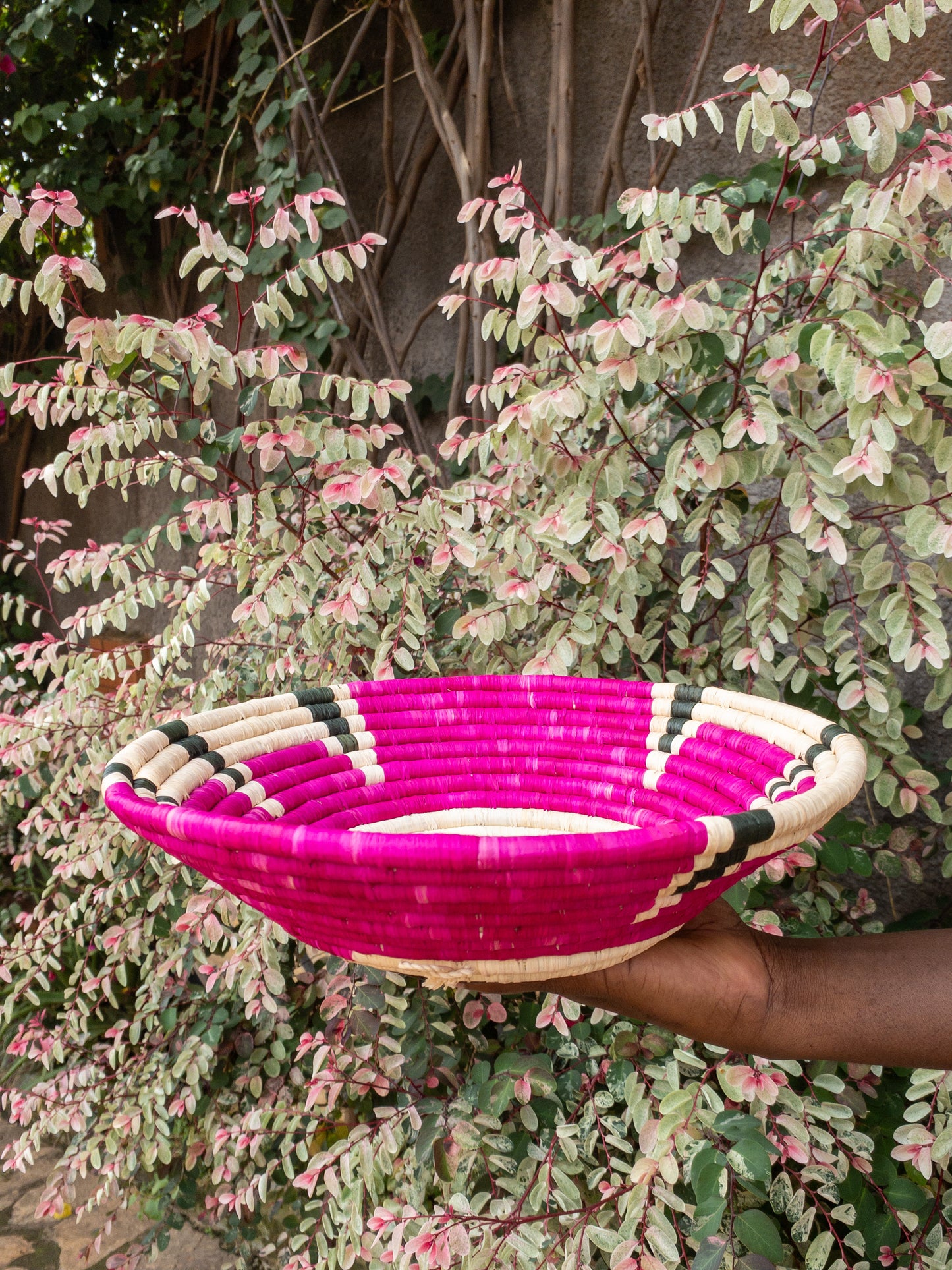 Fruit Bowl in Pink and Green